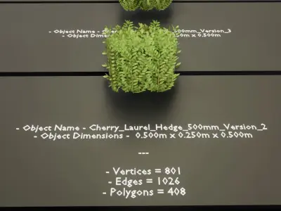 Cherry Laurel Hedge Package  Low-poly 3D model