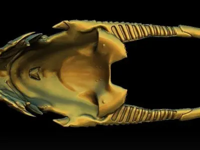 Anubis predator bio mask 3D model