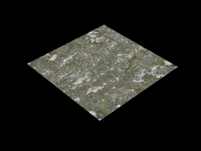 Moss Rock 3D model