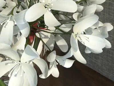 Decorative Set of Flowers 3D model