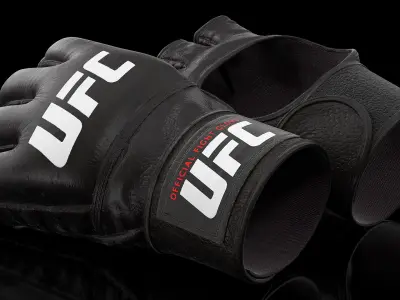  UFC Official Leather Fight Gloves 