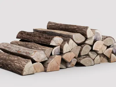 Firewood 3D model
