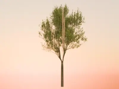PSX PS1 Styled Low Poly 3D Model of a Tree Low-poly 3D model