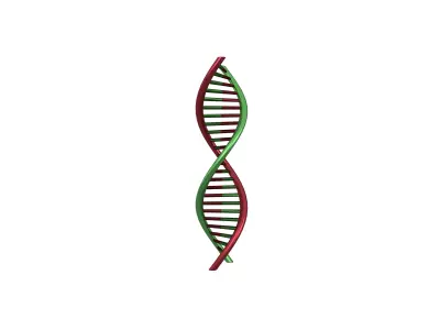 DNA Molecule v1 007 Low-poly 3D model