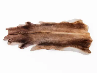 Natural Animal Cowhide Rug 3D model