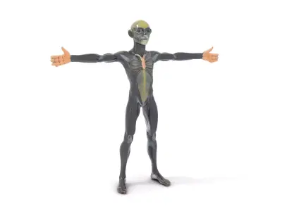 Detailed Alien Creature model pack Low-poly 3D model purchase
