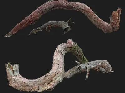 Dead twisted tree 3d scan 5 3D model
