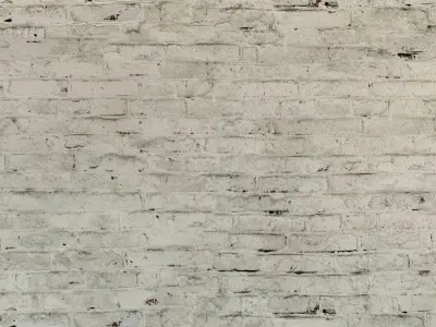 Brick wall Old brick  109 Texture