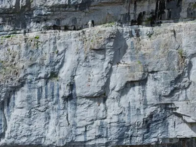 Huge Smooth Cliff Wall Scanned Drone PBR Low-poly 3D model