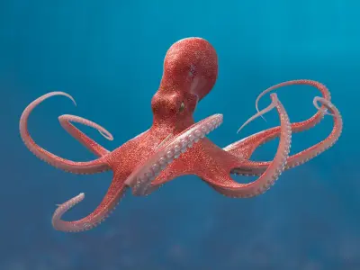  Octopus Animated Multicolor 