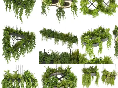 Collection plant vol 03 - pothos - hanging - ampelous 3D Model Pack