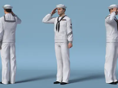  US Navy Sailor Salutes 