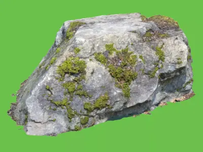 Randy Moss Rock 3D model