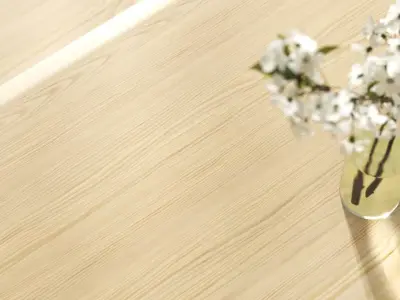 Pine wood veneer texture Texture