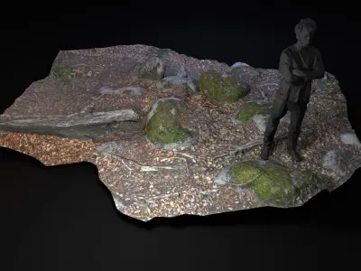 Beech forest ground - 5 of 6 - scan PBR Game ready Low-poly 3D model