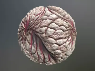 Material Skin Monster 23 Seamless PBR Texture Texture