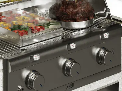 Saber Grill 3D model