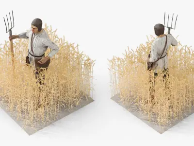  Medieval Farmer in Field 