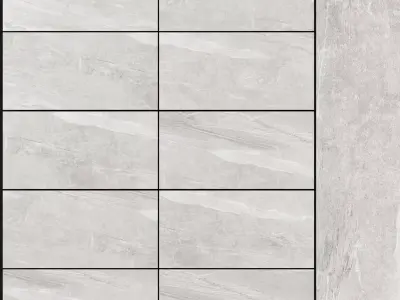 Decovita Sandstorm White 600x1200 3D model