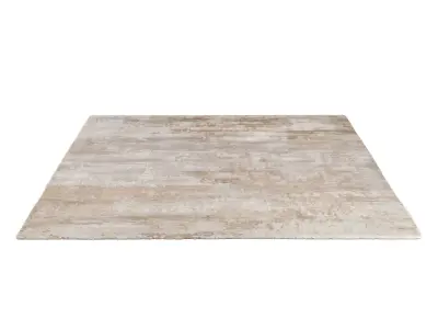 LYRA SILK RUG 3D model