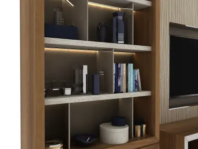 Shelving tv unit with shelves and bookshelves 3D model