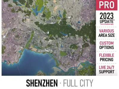 Shenzhen Low-poly 3D model