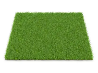 GRASS Low-poly 3D model