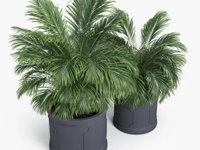 Birmingham Planter Palm 3D model