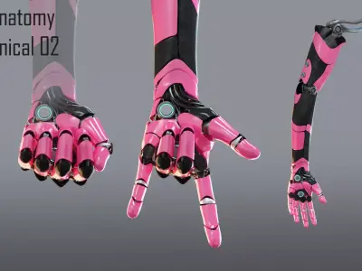 Robotic hand anatomy 02 3D model