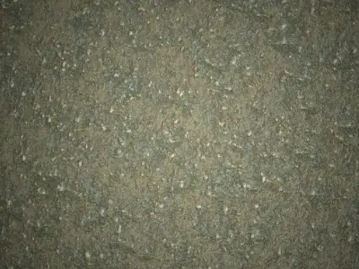 Forest path - 4K PBR BRDF material Texture