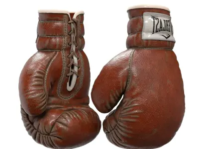 Everlast Realistic Boxing Gloves Low-poly 3D model