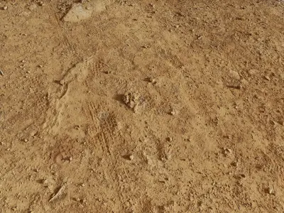 Grounddirtnrock01  3D model