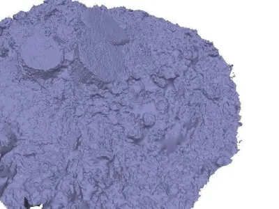 Forest small stump 3D scan Low-poly 3D model