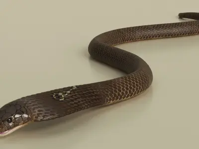  Attack Naja Cobra Animated Rigged 