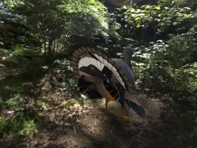 Chicken House Chicken Coop 3D model