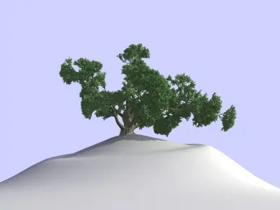 BIG TREE 3D model