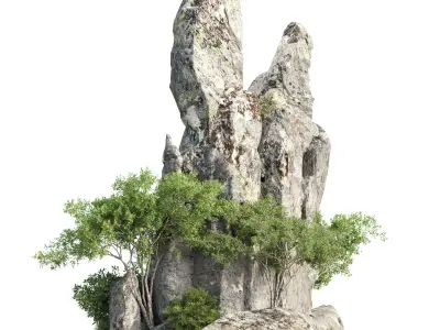 Rocky Cliff with Vegetation Vol 337 3D model