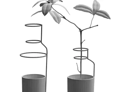 Plant in wire pots 3D model