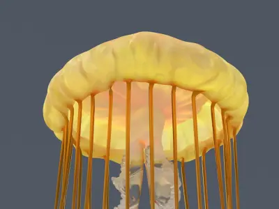  Chrysaora Fuscescens Jellyfish Rigged For Maya 