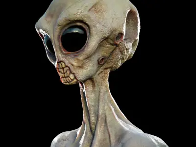 Rigged Realistic Alien 3D model