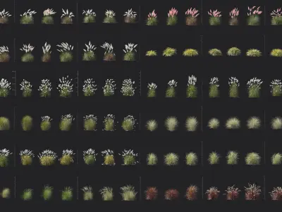 Maxtree Plant Models Vol 139 - Mesh 3D model