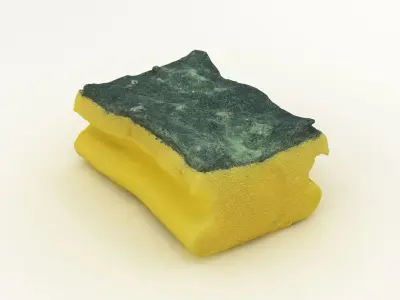 Used Sponge Scourer 3D model