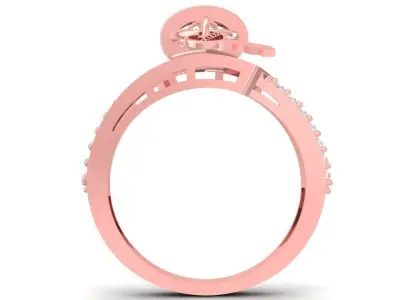 Elegant Double Halo Diamond Ring for Women Jewelry  2810 3D print model