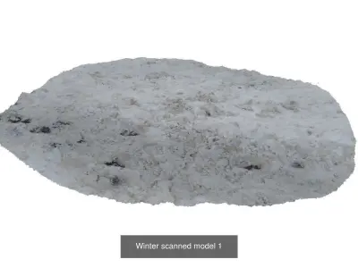 Winter 3D scan collection 3D Model Pack