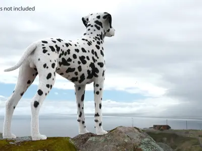  Dalmatian Dog Fur Rigged 