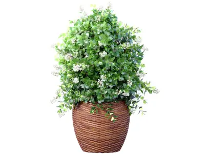 Decorative flowering garden evergreen tree Oleander shrub vase 3D model