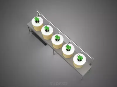 CULTIVATION FRUITS VEGETABLES PLANT HYDROPONIC FARMING GARDENING 3D model