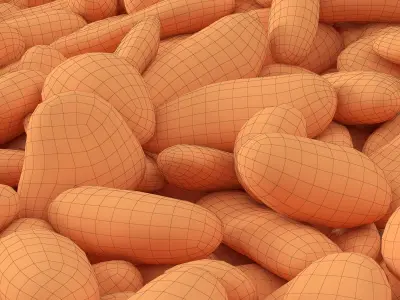 Pebble white road 3D model