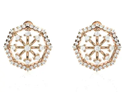 Spiders Web Light wt Pendant Earrings Set 3dm stl obj mtl gltf  3D print model