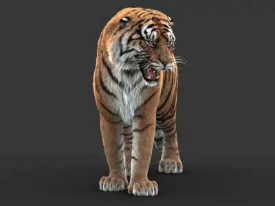  Tiger (5) (ANIMATED) (FUR) 